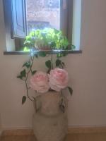 La rosa del castello - B&B Castrovillari