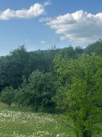 Mirina village house - Ferienwohnung Pljevlja