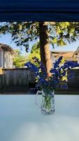 Cozoro 3 BEDROOMS Centre Vancouver - B&B Vancouver