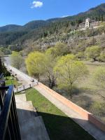 New Borjomis house25 - Bed and Breakfast Bordzjomi