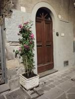 Casa San Rocco - Chambres d'hôtes Bolsena