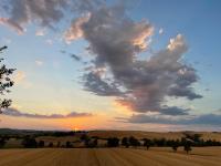 Cottage con piscina immerso nel verde delle crete senesi - Bed and Breakfast Asciano