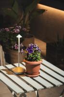 Lignum Suites Chania - Ferienwohnung Chionato