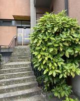 Settebello - Bed and Breakfast Como