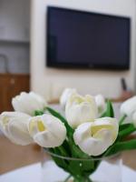 Fiora Apartment - B&B Scutari
