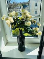 Residence Mozart by Welcome to Salzburg - B&B Salisburgo