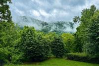 Can't Bear to Leave Mountain House - B&B Maggie Valley