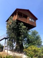 Trini Treehouse By GEstores - B&B Huasca de Ocampo