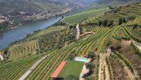 Quinta da Coitada - Alojamento Local - B&B Soutelo do Douro