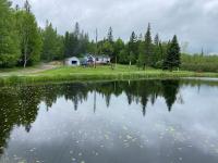 Peaceful and Heavenly Private Water Front Cottage on 100 Acres of Scenic Beauty- Trent Lakes - B&B Kinmount