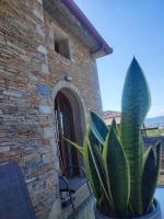 Stone & Serenity - Bed and Breakfast Volos