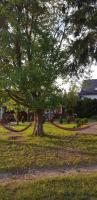 Wczasy na Kaszubach u Hani - B&B