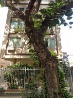 Charmoso apartamento em Ipanema - a 150m da praia - B&B