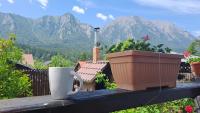 Casa Teomar - B&B Buşteni