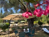 L’oléado - B&B Oletta