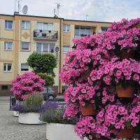 Rynek-Centrum - B&B
