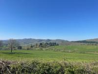 La croix de fer by Miss K - Bed and Breakfast Berzé-le-Châtel