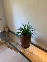 Domus Lina - B&B Ravello