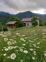 Sakartvelo Soul - B&B Borjomi