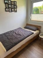Tiny House Rudis Ruheoase - B&B Steinheim