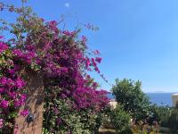 Green Coast 136 - B&B Dhërmi