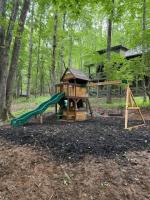 Modern Cabin with Luxury Gym, Firepit + Game Room! - B&B Blue Ridge