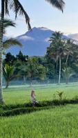 Tereng Wilis bungalows - B&B Tetebatu