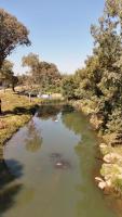 Riverhaven Cottage - B&B Muldersdrift