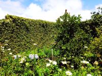 ANN FIELD BUNGALOW Home Stay - B&B Nuwara Eliya
