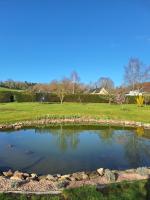 La grenouille amoureuse - B&B Menat