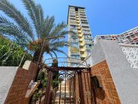 Marabu - B&B Benidorm