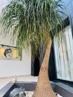 Vivaldi by Villa Chanel Boutique Apartments - B&B Rincón de la Victoria