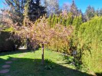 Ferienhaus Steiner - B&B Spielberg bei Knittelfeld