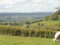 Highfield - Bed and Breakfast
