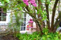 Chez Gégé - Maison d'hôtes - B&B Trooz