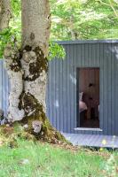 Ginger Cabins - B&B Žabljak