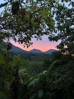Jungle Hideaway, Outdoor Bath & Volcano Views - B&B Tabanan