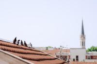 Petit Paradis proche transports - B&B Villeurbanne