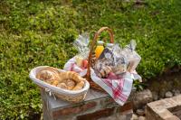 Erdőszéli Házikó szaunával és jakuzzival - Ferienwohnung Magyarhertelend