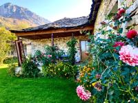 Guest House Qafe Dardha - Tomorr National Park - B&B Dardhë