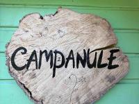 Chalet Campanules 37 - Nature, Randonnée & Famille - FR-1-583-471 - Chambres d'hôtes Mélisey