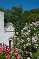 Masseria Il Frantoio - B&B Ostuni