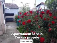 Apartament la vila Mangalia Oana - B&B Mangalia