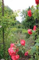 Hof Am Wege - Bed and Breakfast Bosau