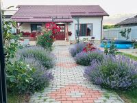 Mountain View House Brasov - B&B Braşov