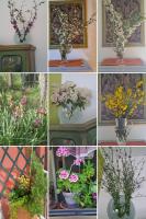 la casa di Aldo - B&B Perugia