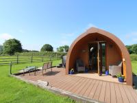 Bwthyn Bach Brefi - B&B Tregaron