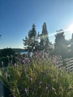 Villa Poljana - Chambres d’hôtes Mali Lošinj