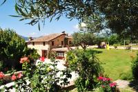 B&B San Severino Marche - Agriturismo L'Antico Oliveto - Bed and Breakfast San Severino Marche