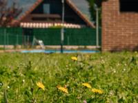 Casa de campo entre viñedos - Chambres d’hôtes Laguardia